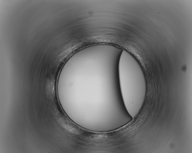 X0000091520398200708171014