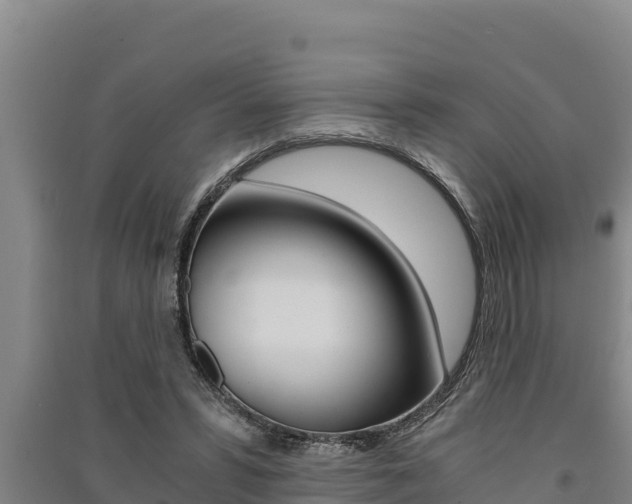 X0000091520399200708171014