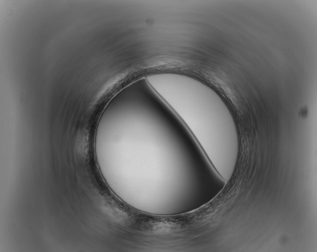 X0000091520400200708171014