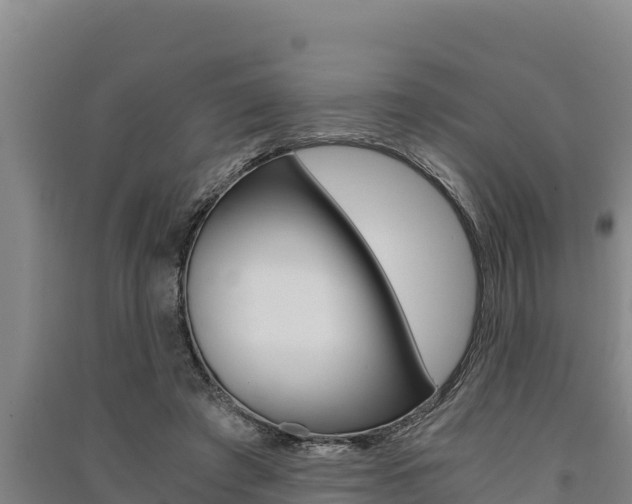 X0000091520401200708171014