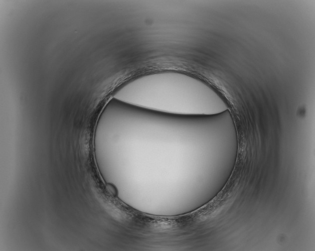 X0000091520402200708171014
