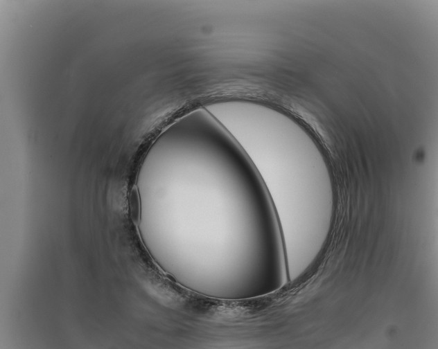 X0000091520403200708171014