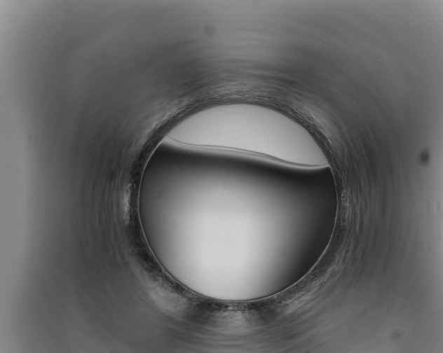 X0000091520404200708171014