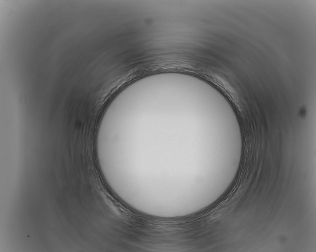 X0000091520405200708171014