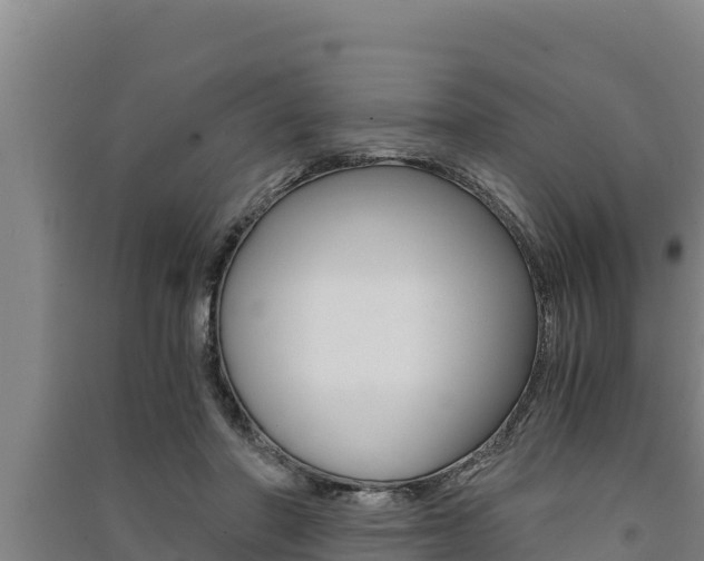 X0000091520406200708171014