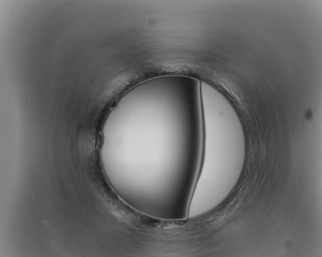 X0000091520407200708171014