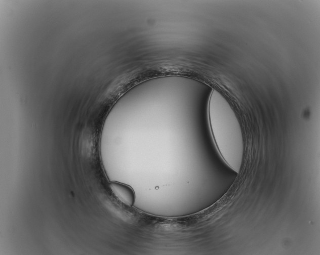 X0000091520408200708171014