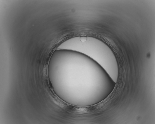 X0000091520409200708171014