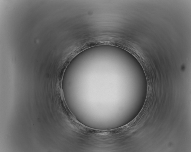 X0000091520411200708171014