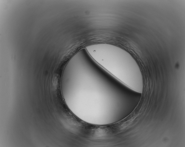 X0000091520412200708171014