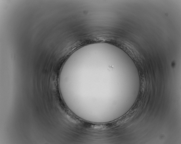 X0000091520414200708171014