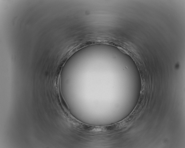 X0000091520415200708171014