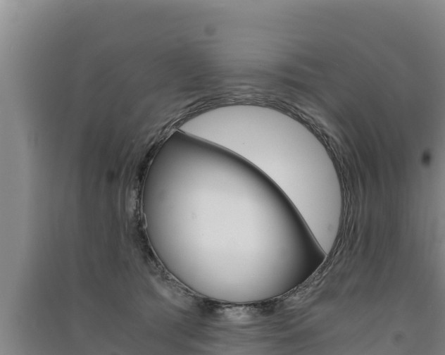 X0000091520417200708171014