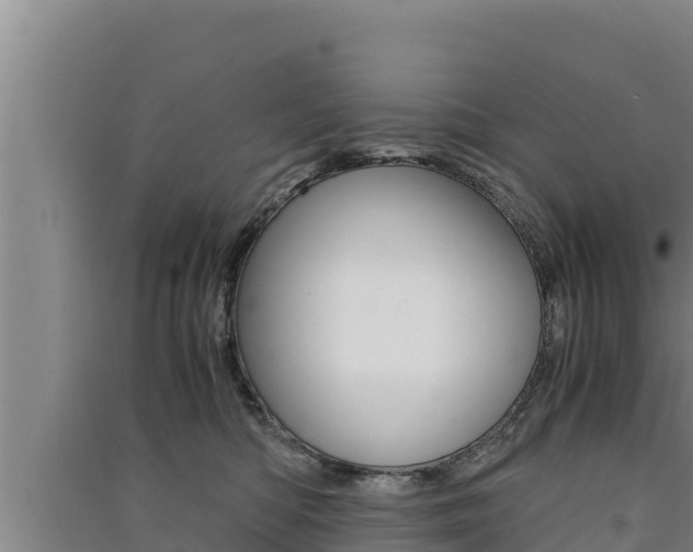 X0000091520422200708171014
