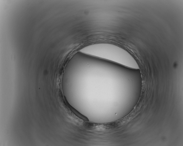 X0000091520423200708171014