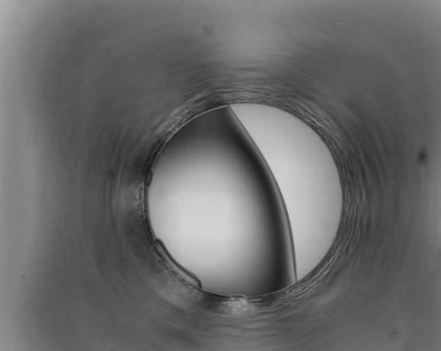 X0000091520425200708171014