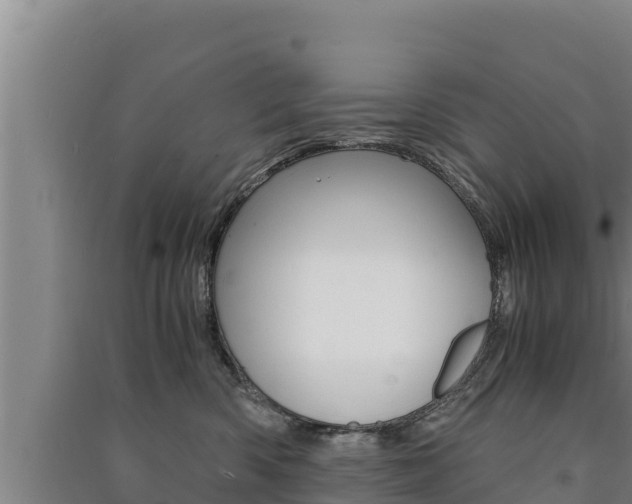 X0000091520426200708171014
