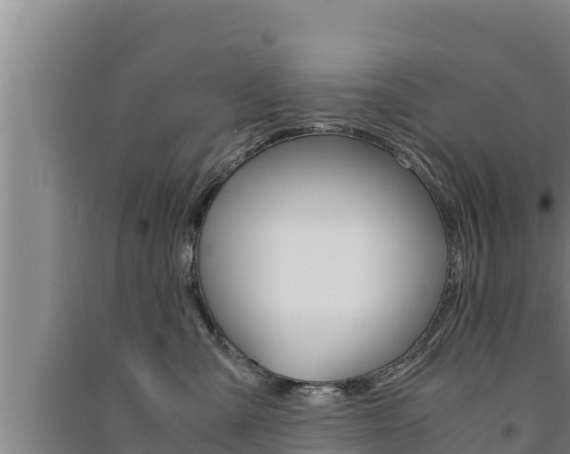 X0000091520427200708171014