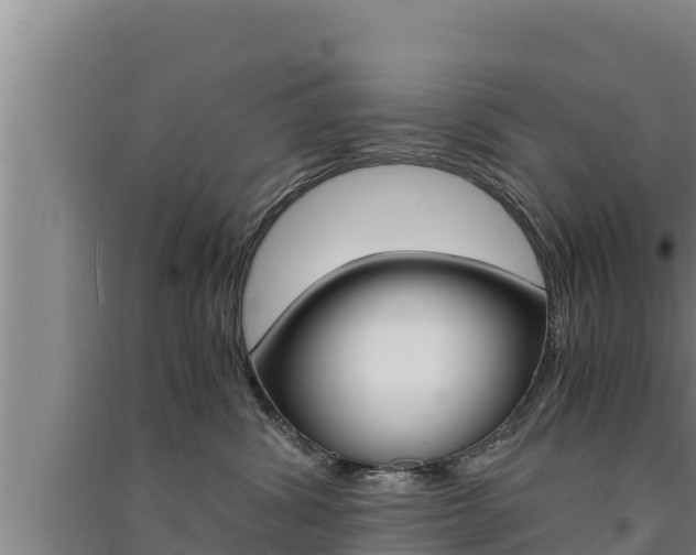 X0000091520428200708171014