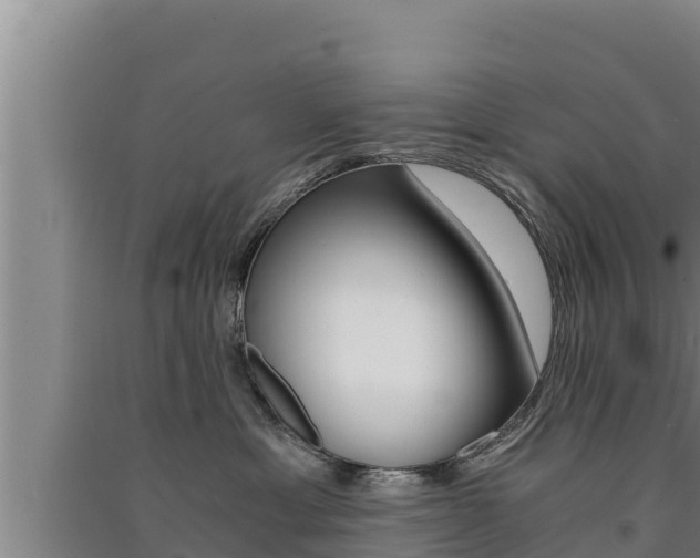 X0000091520429200708171014