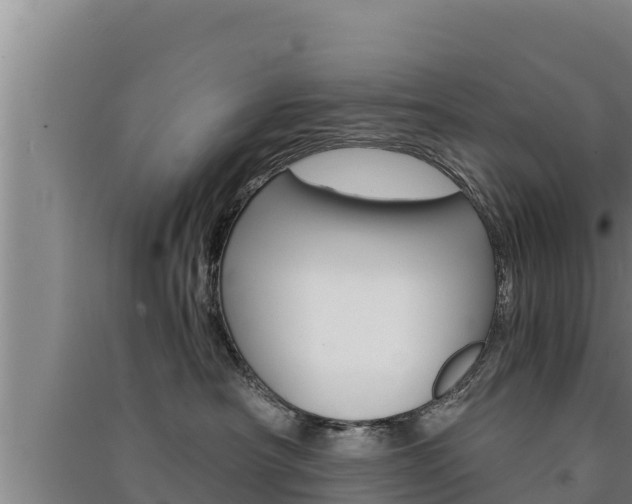 X0000091520430200708171014