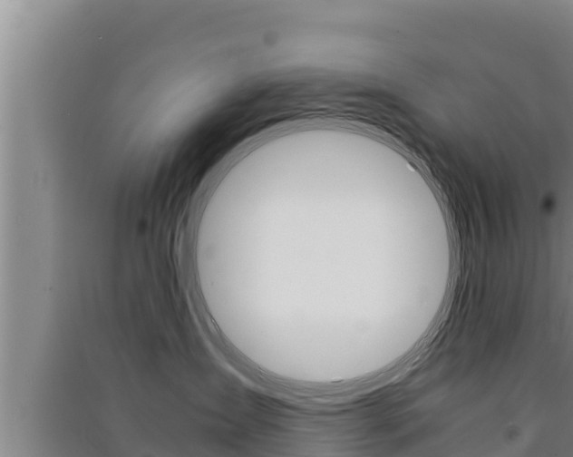 X0000091520431200708171014