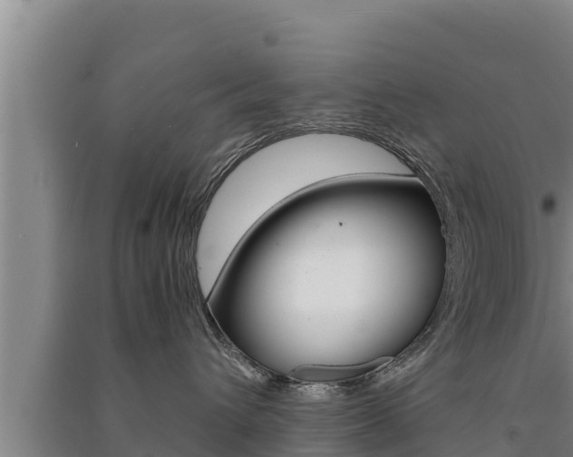 X0000091520432200708171014