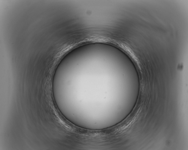 X0000091520433200708171013