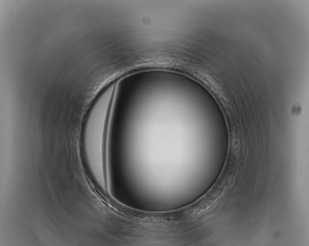 X0000091520434200708171013