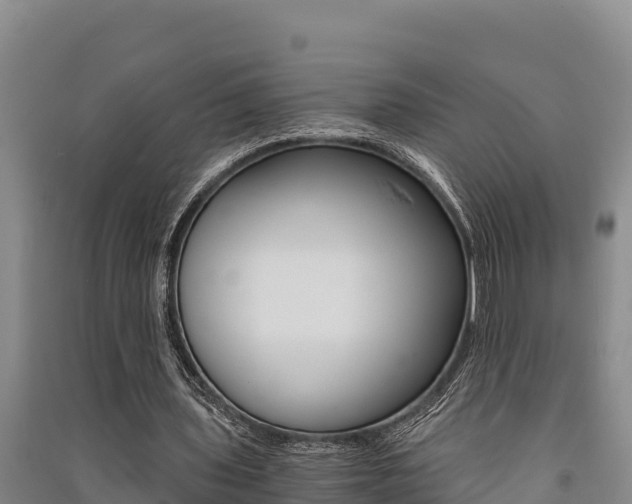 X0000091520435200708171013