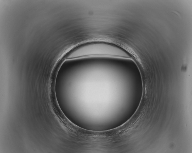 X0000091520436200708171013
