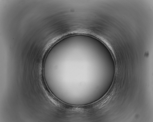 X0000091520437200708171013