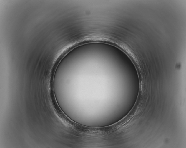 X0000091520438200708171013