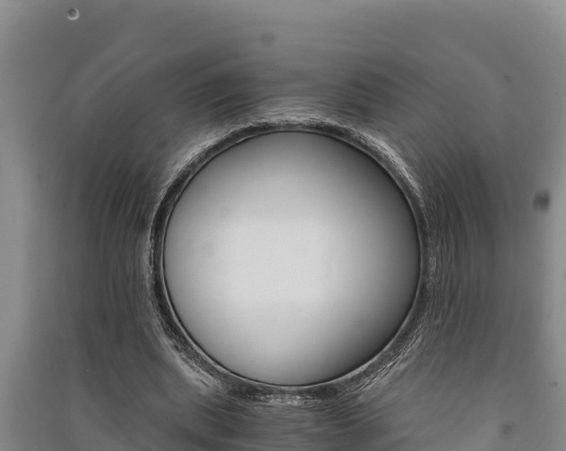 X0000091520439200708171013
