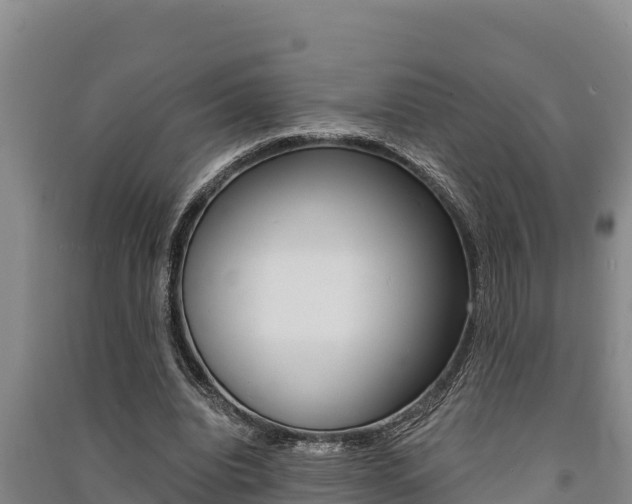 X0000091520440200708171013