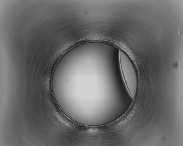 X0000091520441200708171013
