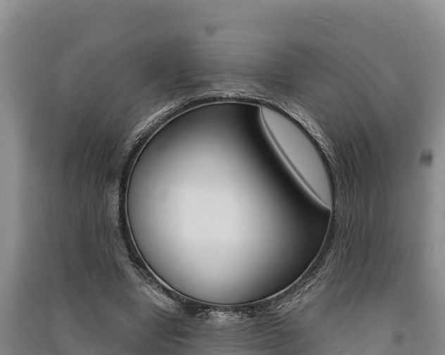 X0000091520442200708171013