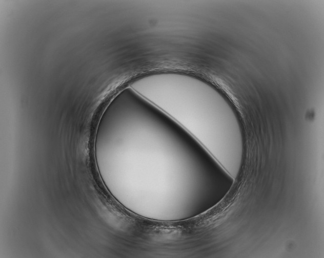 X0000091520443200708171013