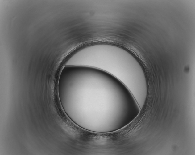 X0000091520444200708171013