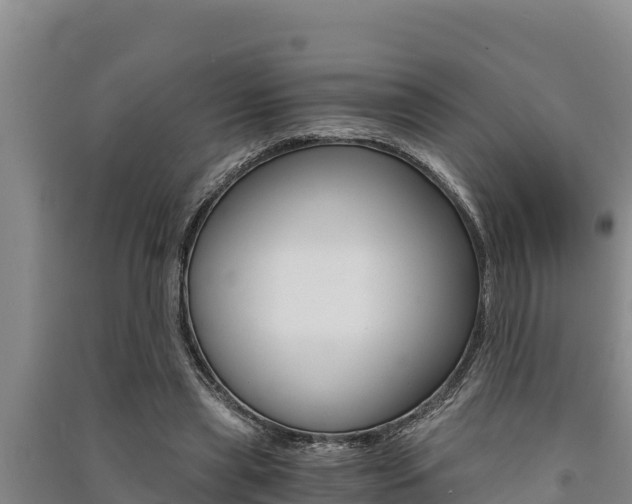 X0000091520445200708171013