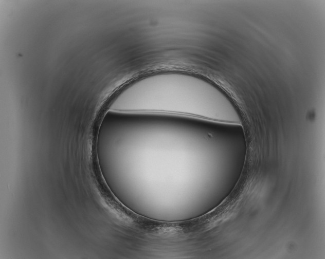 X0000091520446200708171013