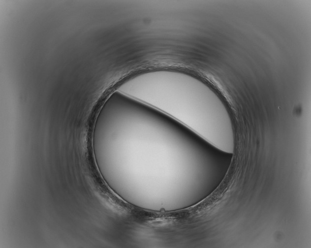 X0000091520447200708171013