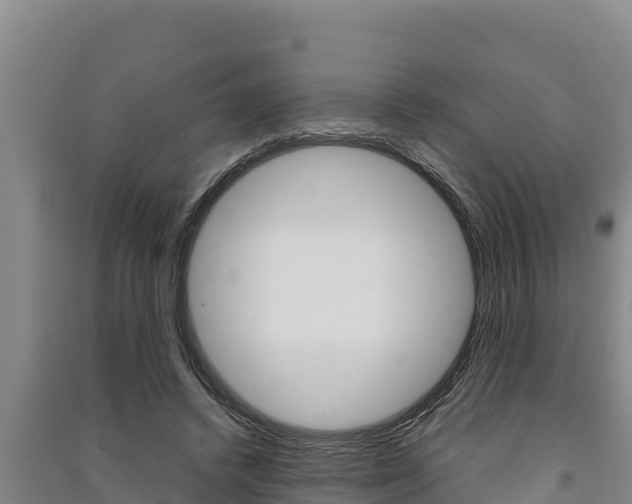 X0000091520448200708171013