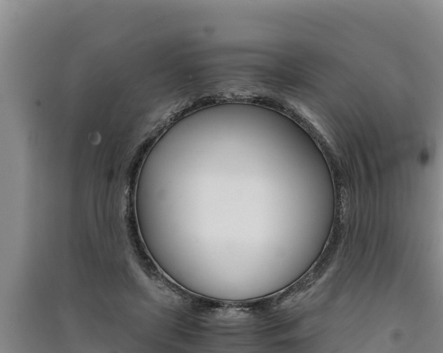 X0000091520451200708171013