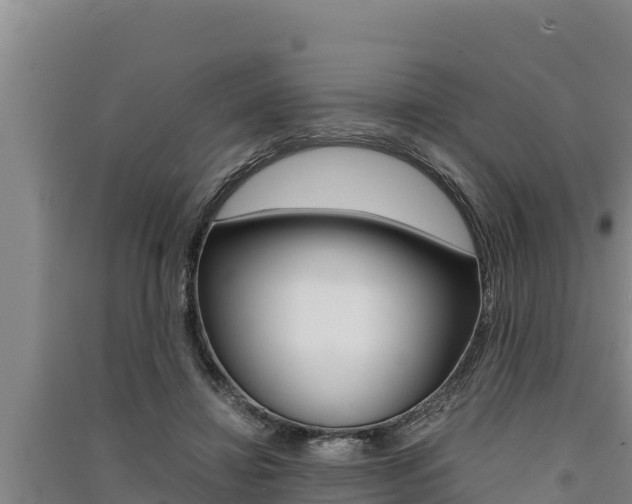 X0000091520452200708171013