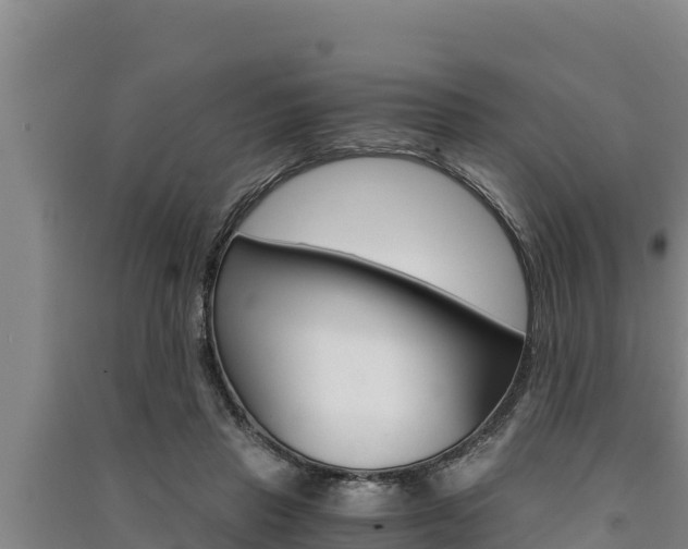 X0000091520453200708171013