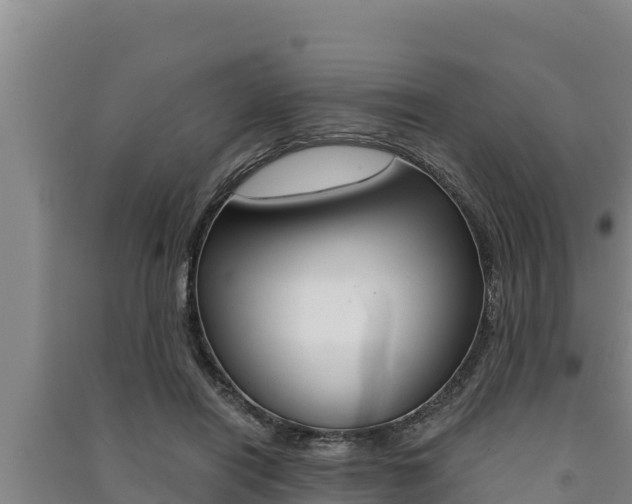 X0000091520454200708171013