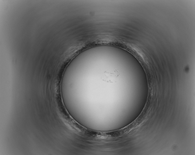 X0000091520455200708171013