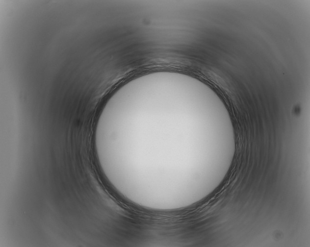 X0000091520456200708171013