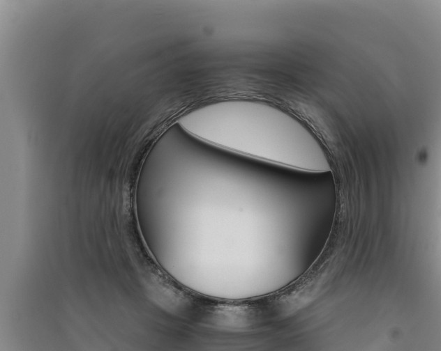 X0000091520457200708171013